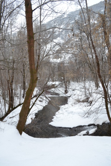 wintertime creek